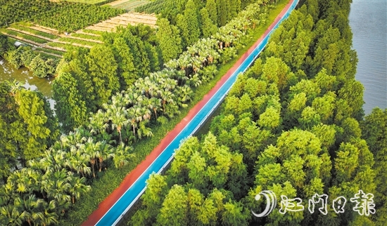 江海區(qū)鄉(xiāng)村綠廊碧帶串聯(lián)多個公園和自然景觀區(qū)，成為市民休閑娛樂的好去處。