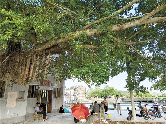 “倉東計(jì)劃”不僅希望把遺產(chǎn)保護(hù)好，還希望傳統(tǒng)的生活方式、生活環(huán)境保留下來。