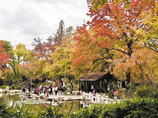 天平山秋色十分醉人。