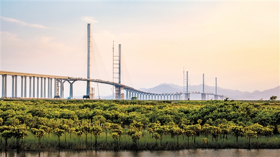與自然生態(tài)融為一體的黃茅海跨海通道。