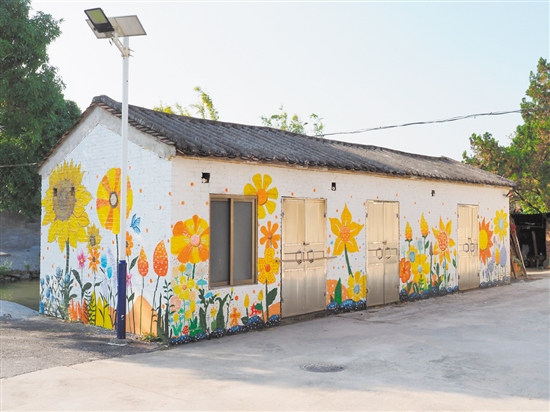 雙橋村發(fā)動返鄉(xiāng)大學(xué)生設(shè)計獨(dú)具雙橋特色的墻繪。