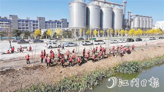 外海青年人才參與“人才林”植樹活動。