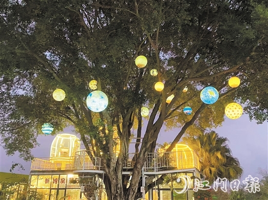 臺(tái)山新娘房農(nóng)場(chǎng)餐廳內(nèi)設(shè)有當(dāng)下流行的休閑元素星空房。