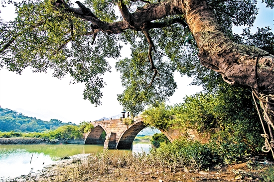 北陡鎮(zhèn)琴溪古橋。