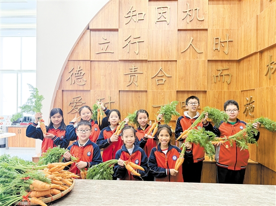 江海區(qū)景賢小學(xué)寒假志趣作業(yè)獲獎(jiǎng)學(xué)生收到了該校學(xué)生親手栽種的胡蘿卜。