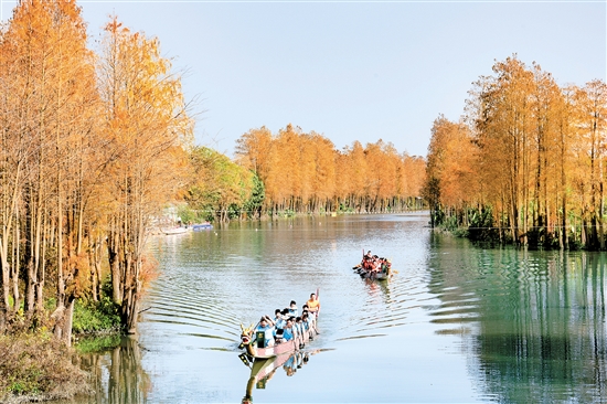 禮樂龍舟訓(xùn)練基地風(fēng)景如畫。