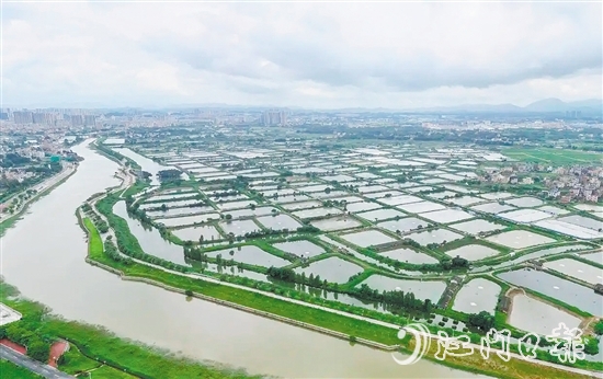 古勞鎮(zhèn)發(fā)動(dòng)魚塘養(yǎng)殖戶開展魚塘清淤，推動(dòng)魚塘養(yǎng)殖增產(chǎn)增收。