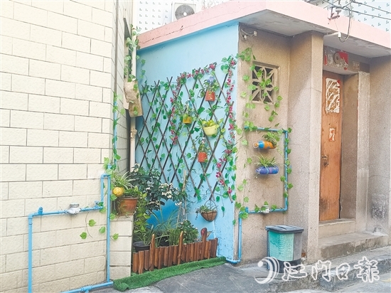 家門口的立體小花園為禾岡村注入生機(jī)與活力。