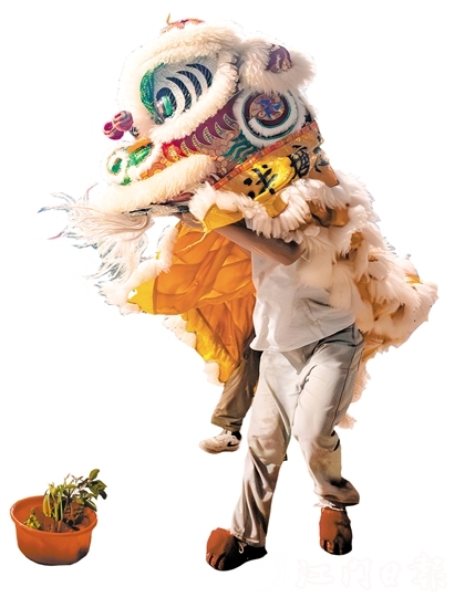 花炮會(huì)上，醒獅采青表演十分精彩。