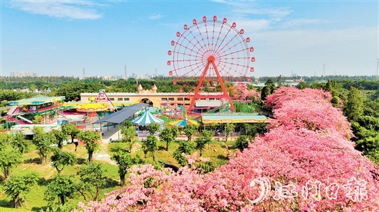 依托禮樂街道獨特旅游資源，長廊生態(tài)園開發(fā)研學旅游項目，賦能“江門三點三精彩之旅”品牌建設。