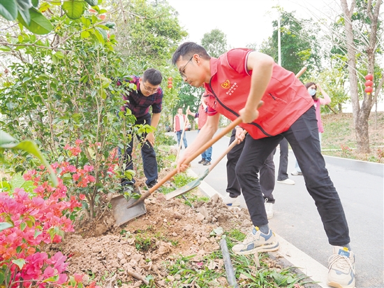 大家分工明確，一起植樹添新綠。