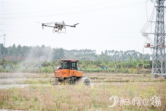 無(wú)人機(jī)、水旱耕作機(jī)協(xié)作開展春耕生產(chǎn)。