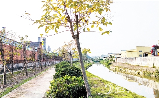 新橋水流域經過治理后，環(huán)境大大改善。