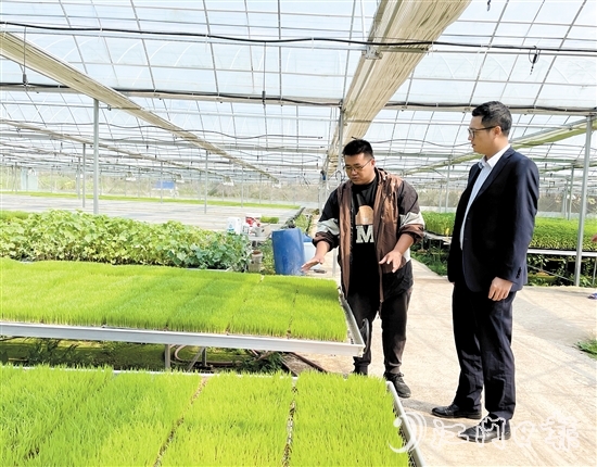 臺(tái)山農(nóng)商銀行客戶經(jīng)理上門對(duì)接農(nóng)戶春耕融資需求。