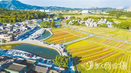 春賞格?；ā⑾挠^荷塘月、秋品稻花香、冬聞桂花釀的“全季旅游”模式，讓桂水村的知名度不斷攀升。