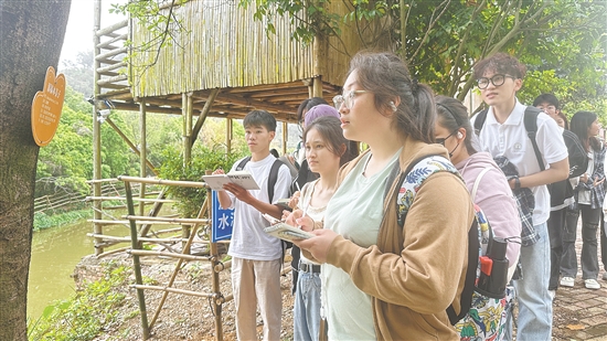 學生們在基地觀察各類植物。