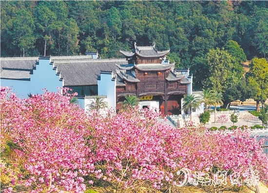 共和鎮(zhèn)來蘇村利用去年擂臺比武獲得的獎勵資金進(jìn)行一系列鄉(xiāng)村建設(shè)。圖為來蘇山水人家文旅項目。