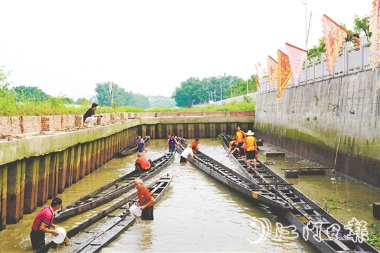 大澤鎮(zhèn)牛勒村將龍舟從泥潭中挖出。