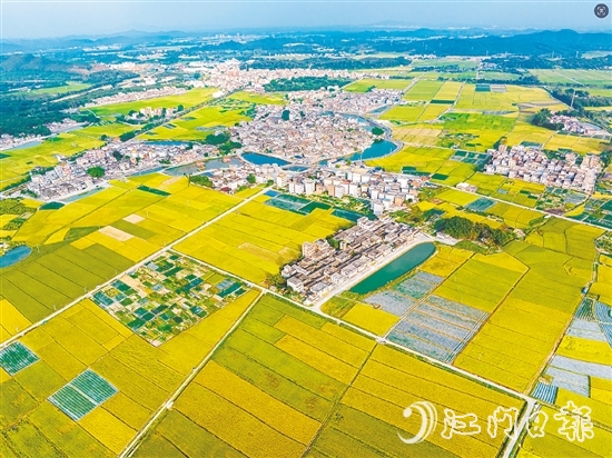 恩平土壤肥沃，富含“硒”元素，該市正努力推動(dòng)讓“硒”資源轉(zhuǎn)化為富民強(qiáng)市的“硒”經(jīng)濟(jì)。圖為恩平市牛江鎮(zhèn)。