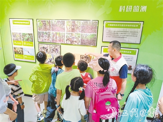 小朋友們在保護區(qū)學習有趣的知識。