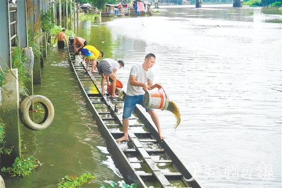 掏泥沙、舀泥漿，長沙街道愛民村委會杜澄村村民分工合作，“請”出河中的“金龍”。