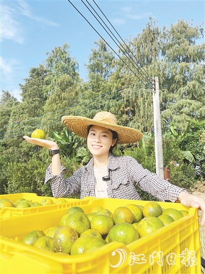 劉雪菲不斷探索新會(huì)柑種植、新會(huì)陳皮陳化倉(cāng)儲(chǔ)的更多可能。