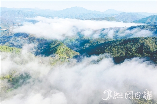 七星坑保護(hù)區(qū)的森林覆蓋率高達(dá)98%，負(fù)氧離子濃度年平均值達(dá)2192個/立方厘米，遠(yuǎn)超世界衛(wèi)生組織界定的清新空氣標(biāo)準(zhǔn)（≥1000個/立方厘米）。