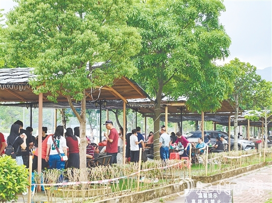 今年“五一”假期，恩平市簕菜文化創(chuàng)意園內(nèi)游人如織。