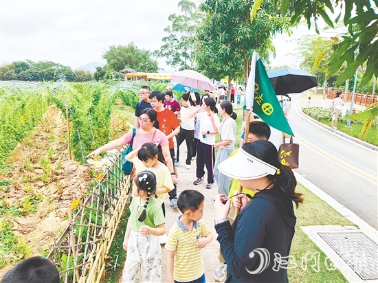 參與者們參觀農(nóng)作物種植。