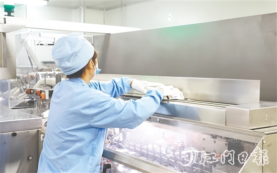 在生物醫(yī)藥產(chǎn)業(yè)領(lǐng)域，開平市聚焦生產(chǎn)制造端，在珠江西岸率先構(gòu)建起“原料藥—化藥制劑—醫(yī)療器械—流通服務(wù)—終端需求”的垂直整合型產(chǎn)業(yè)生態(tài)。圖為廣東彼迪藥業(yè)有限公司生產(chǎn)車間。