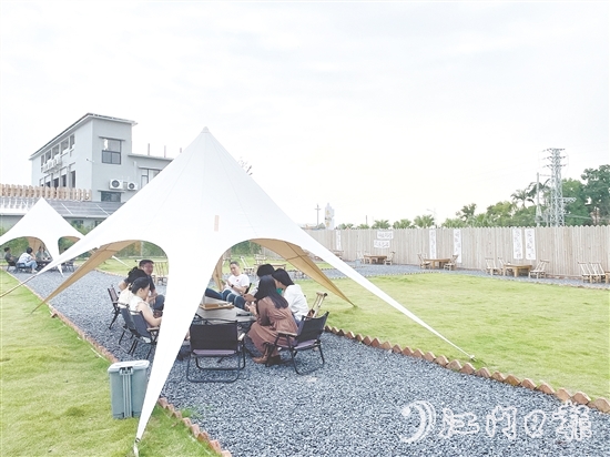 聞著稻香喝咖啡、住民宿，成為不少城市人放松身心的選擇。