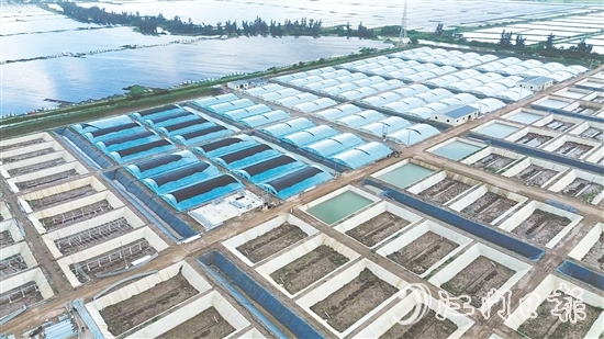 汶村鎮(zhèn)今年新引進(jìn)華辰水產(chǎn)，這是集研發(fā)、規(guī)?；B(yǎng)殖、生產(chǎn)于一體的現(xiàn)代化項(xiàng)目。