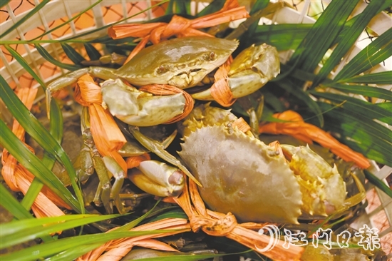 崖門水蟹肉少水多，最適合原只清蒸后用吸管“啜”著吃。