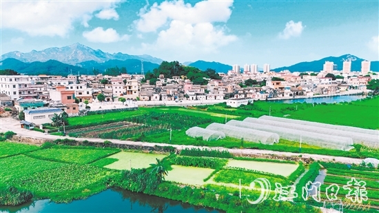 汶村鎮(zhèn)沙奇村通過深耕特色農(nóng)業(yè)、強化黨建引領、創(chuàng)新基層治理，實現(xiàn)從“臟亂差”到“綠富美”的華麗蝶變。