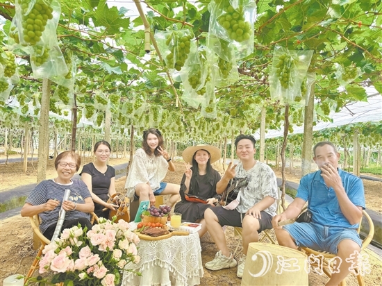 英姑葡萄園舉辦葡萄音樂會(huì)。譚鳳英