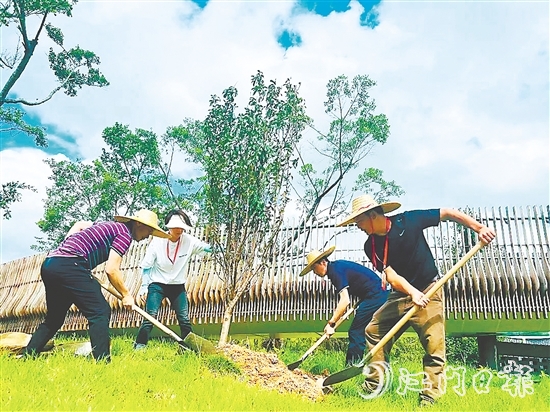 會城街道人大代表在小鳥天堂國家濕地公園種下40多株桃花樹苗。
