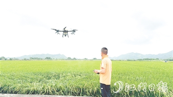 農(nóng)業(yè)技術(shù)人員利用大型植保無(wú)人機(jī)對(duì)農(nóng)田進(jìn)行補(bǔ)肥殺蟲(chóng)。