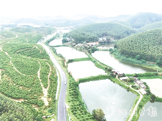 鶴山依托區(qū)位、資源、項目等核心優(yōu)勢，大力發(fā)展特色戶外運(yùn)動。