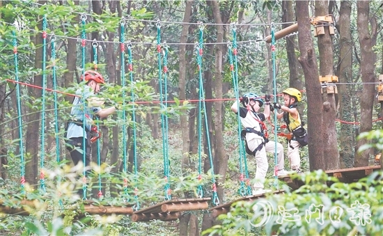 鶴山大雁山飛越叢林樂園十分火熱，吸引各地游客進(jìn)山探秘原始叢林，體驗戶外運(yùn)動帶來的無限樂趣。