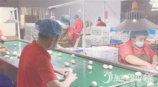 赤水鎮(zhèn)現(xiàn)已形成集種鴨繁育、生態(tài)養(yǎng)殖、飼料供應(yīng)、肉禽屠宰、蛋品加工、冷鏈物流于一體的完整產(chǎn)業(yè)鏈，產(chǎn)業(yè)總產(chǎn)值超5億元。