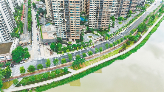 實施改造工程后，桂香路變?yōu)殡p向兩車道，并鋪上瀝青罩面，讓車輛通行更加順暢。