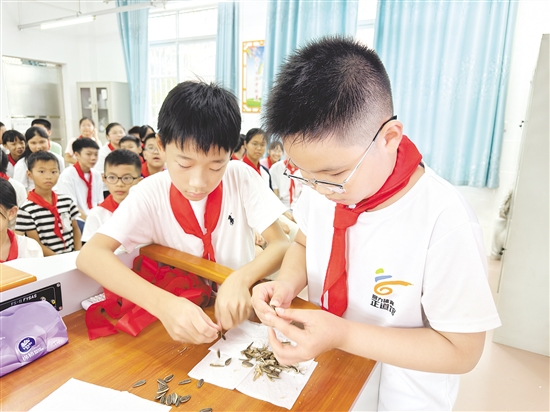 學(xué)生們兩兩配合，立即切換成“剝瓜子高手”模式。