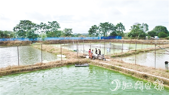 養(yǎng)殖基地毗鄰鶴城鎮(zhèn)三堡河，水源充沛，水質(zhì)優(yōu)良。