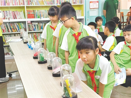 學(xué)生們有序參觀毒品仿真模型。