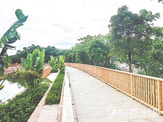 在紅衛(wèi)島堤防達(dá)標(biāo)加固工程的加持下，環(huán)島休閑漫步道建設(shè)持續(xù)推進(jìn)。