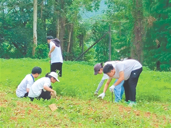 隊(duì)員們在田間進(jìn)行除草工作。