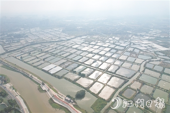 古勞鎮(zhèn)大埠村實(shí)行“股票田改革”，帶動(dòng)村集體經(jīng)濟(jì)蓬勃發(fā)展，村民以田入股實(shí)現(xiàn)穩(wěn)定增收。