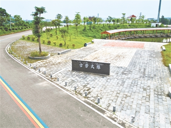 古勞鎮(zhèn)大埠村開展“三綠行動”，推動鄉(xiāng)村綠化工作走深走實。