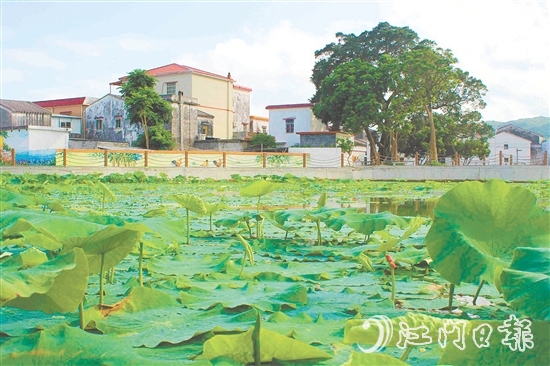 從產(chǎn)業(yè)協(xié)同到生態(tài)蝶變，從設(shè)施完善到文化繁榮，川島鎮(zhèn)甫草村甫草村以資源稟賦為基，展現(xiàn)新變化。