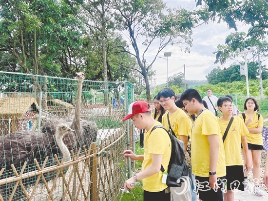 鳳鄉(xiāng)玉懷民宿打造的體驗(yàn)項(xiàng)目，吸引不少青少年前來參觀。